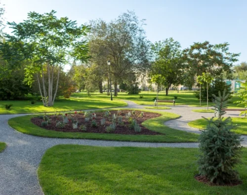 Commercial Tree Services 2