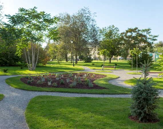 Commercial Tree Services 2