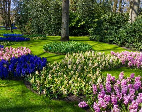 Commercial Tree Services 3