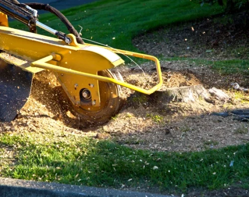 Stump Removal & Grinding 2
