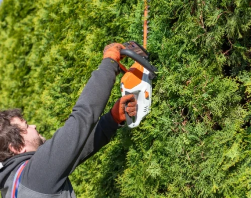 Tree Trimming & Pruning 2