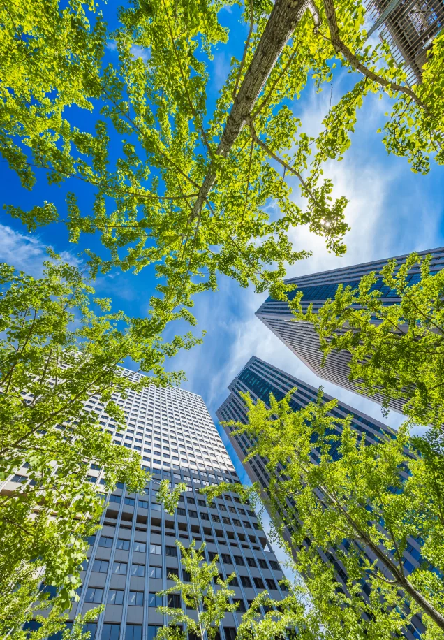 commercial tree services